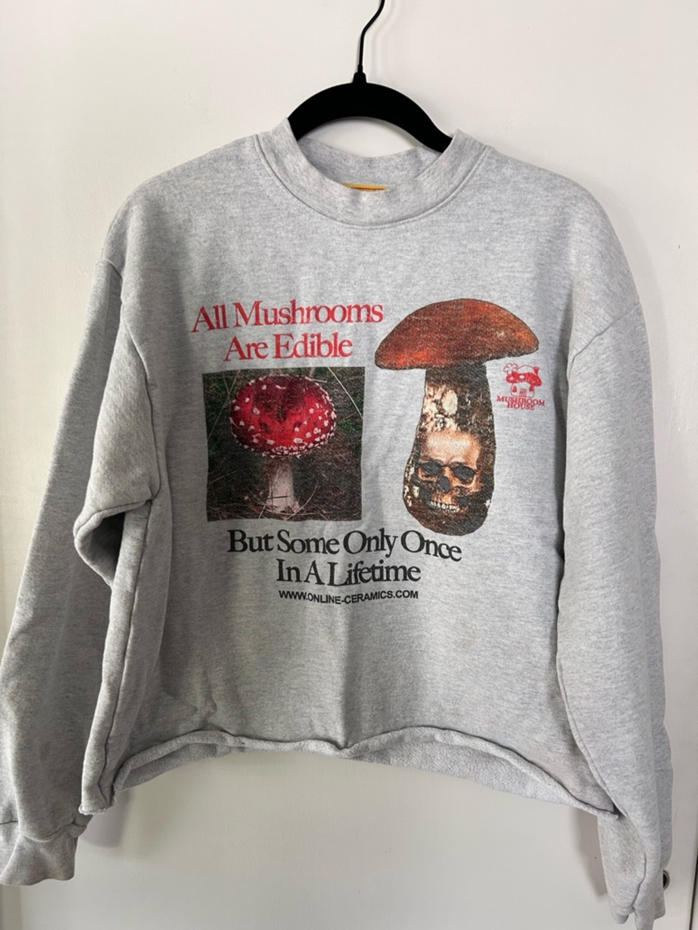 Gray Graphic Mushroom Sweatshirt - Online Ceramics